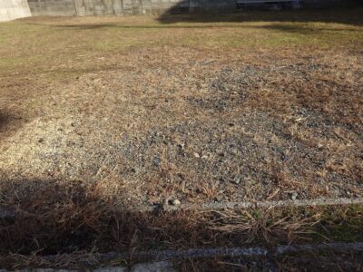 あけましておめでとうございます